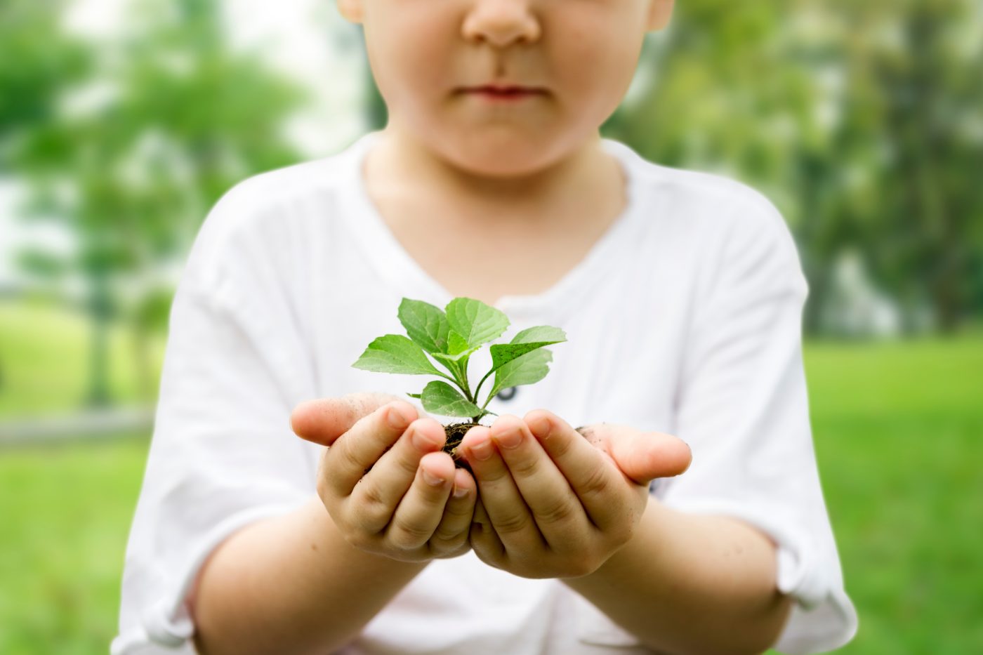 4 powerful nutrients for growing children